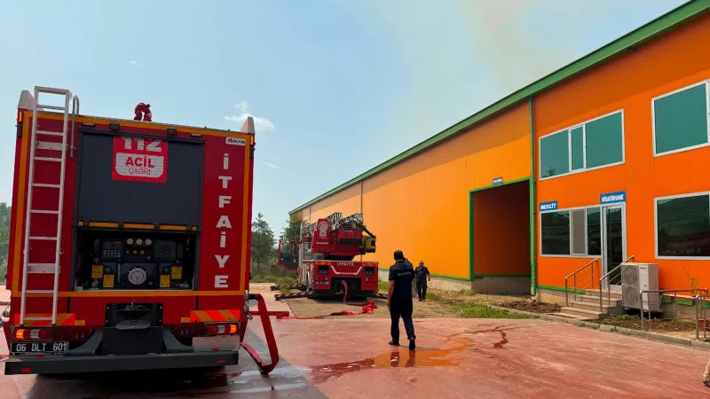 Ankara'da Korkunç Yangın! 150 Bin Tavuk Alevlere Teslim Oldu