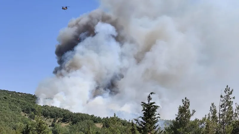 Balıkesir'deki orman yangınına 10 dakika sonra müdahale edildi