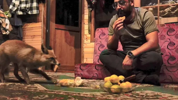 Beslediği tilkiye ‘Tilko’ ismini verdi... 'Ekmeği ve bisküviyi çok seviyor'