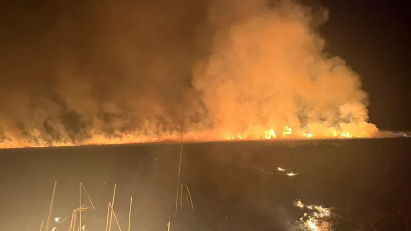 Hakkari Nehil Sazlığı'nda Korkunç Yangın! Sazlık Alevlere Teslim