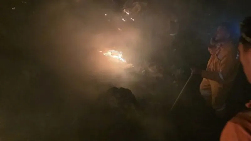 Hatay'da Yıldırım Felaketi! Ormanlar Alev Alev