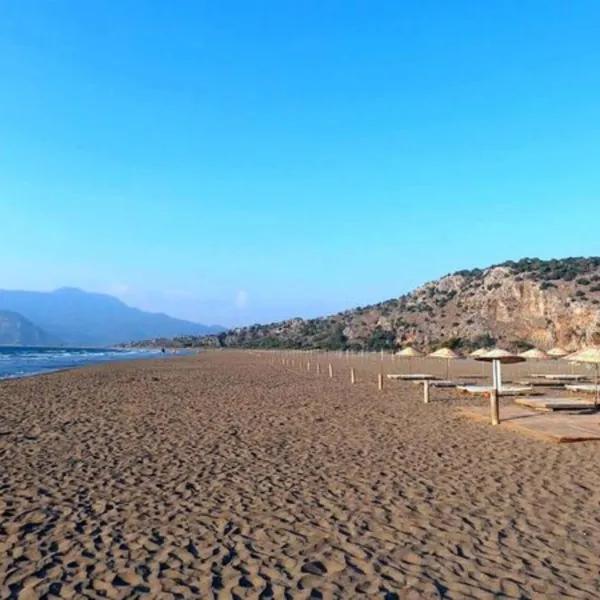 İztuzu'nda yuva sayısı 100'e ulaştı