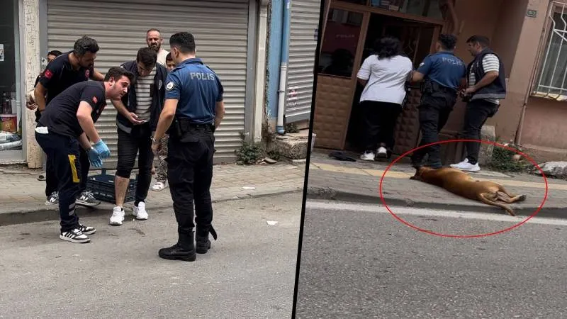 Polise Saldırı Şoku! Köpeği Isırttı, Kendisi de Isırdı!