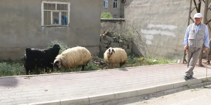 Kurban Bayramı Öncesi Şok! 3 İlçe Karantinaya Alındı!