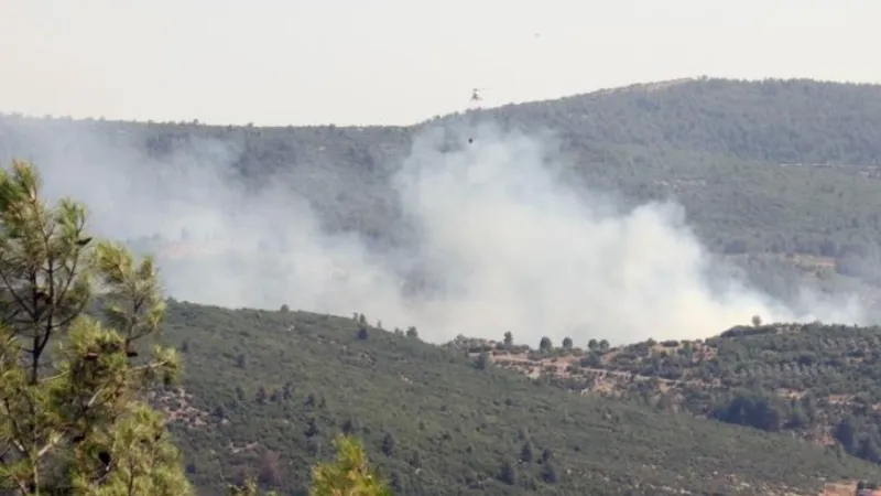 Muğla'da orman yangını