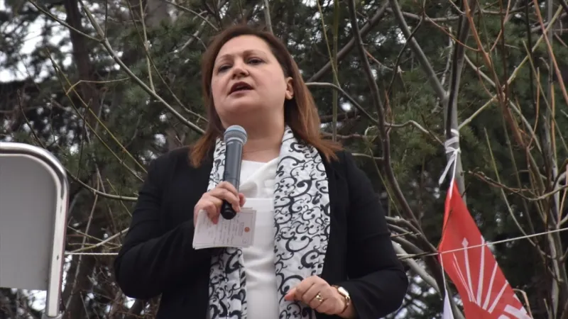 Burcu Köksal Hakim Karşısında! 'Böcek' Davasında Şok İddialar!
