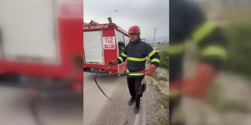 Osmaniye'de Elektrik Panosunda Yılan! İtfaiye Yetişti!