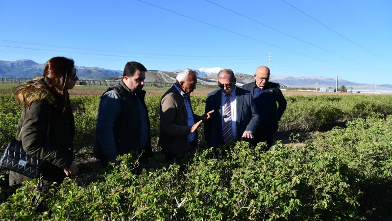Isparta Don Felaketi: Milyarlarca Liralık Kayıp! Elma, Gül, Kiraz...