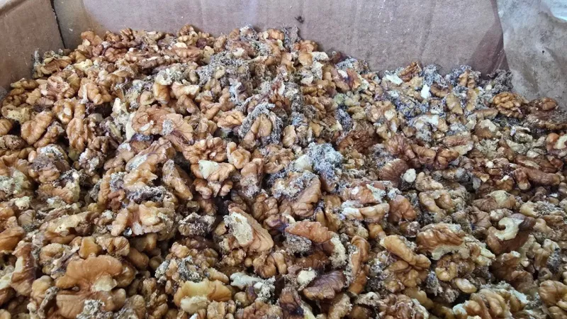 Şanlıurfa'da Baklava Cezası! 11 Ton Küflü Ceviz Şoku!