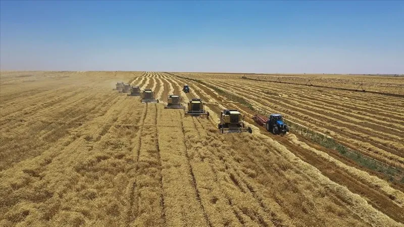 Tarımsal Girdi Fiyatları Şok Düşüş! İşte Yeni Rakamlar