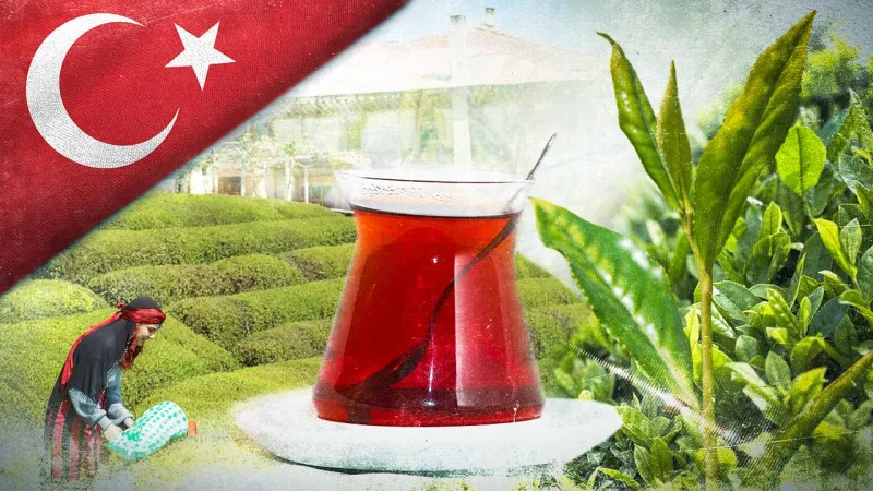 Türk Çayı Rekoru Kırdı! 6.2 Milyon Dolarlık İhracat Şoku!