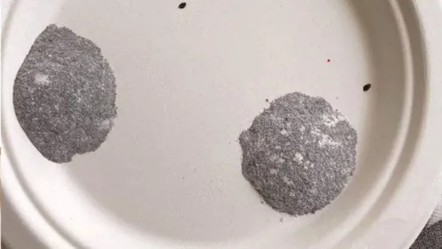 Ölümcül Tabak: Böcek Ailesi'nin Sır Ölümü ve Alman Turist Vakası!