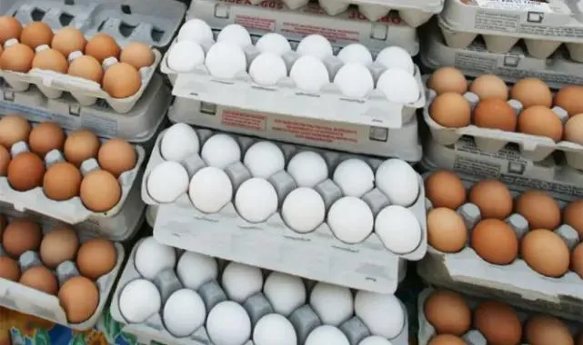 Yumurta İhracatında Şok Karar! Fon Kesintisi Kalktı!