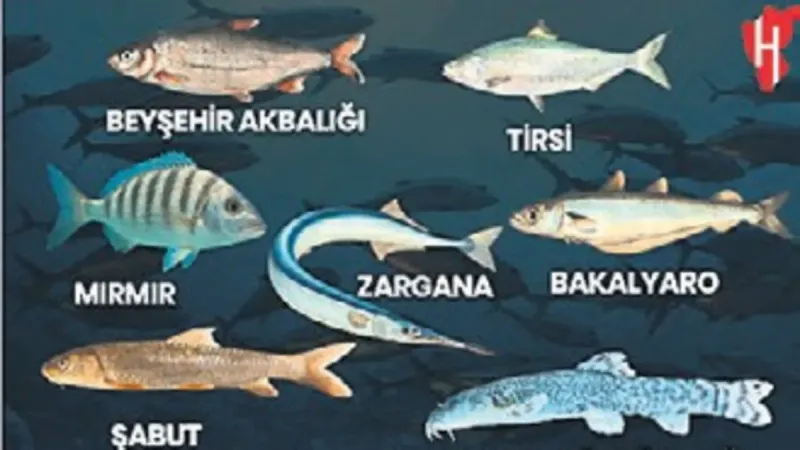 Su ürünlerinde yedi balık türü tescil edildi
