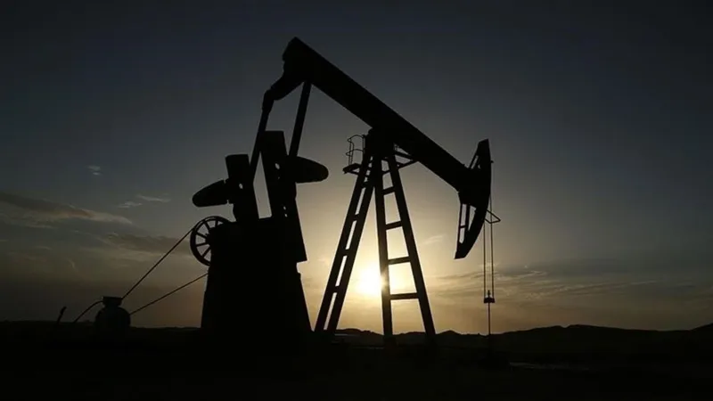 Türkiye'nin petrol ithalatı ve ihracatı haziranda arttı